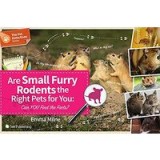 Are Small Furry Rodents the Right Pet for You