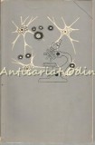 Gheorghe Marinescu - Liviu Floda, Marioara Marinescu, A. Radovici (1958, biografie) Bucuresti