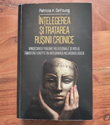 Patricia A DeYoung - Intelegerea si tratarea rusinii cronice foto