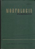 AS - I. CIOBANU - MORFOLOGIA PLANTELOR