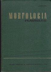 AS - I. CIOBANU - MORFOLOGIA PLANTELOR