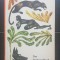 Das Dschungelbuch - Rudyard Kipling (limba germană)