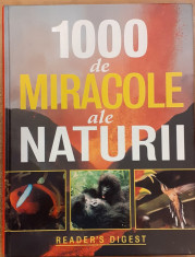 1000 de miracole ale naturii foto