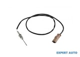 Senzor temperatura gaze dpf Peugeot 807 (2002-&gt;)[E] #1