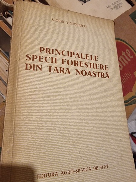 Principalele specii forestiere din tara noastra - Viorel Todorescu