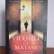 Robert Galbraith &ndash; Viermele de matase (seria Cormoran Strike)