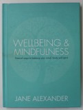 WELLBEING and MINDFULNESS by JANE ALEXANDER , 2015