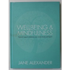 WELLBEING and MINDFULNESS by JANE ALEXANDER , 2015