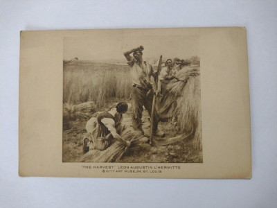 FELICITARE PEISAJ LA TARA LA COASA AGRICULTURA foto