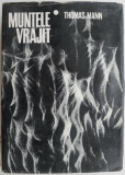 Muntele vrajit &ndash; Thomas Mann