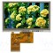 Afișaj TFT 4,3 inch 480x272 LED RGB RAYSTAR OPTRONICS