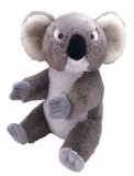 Cumpara ieftin Urs Koala Ecokins - Jucarie Plus Wild Republic 30 cm