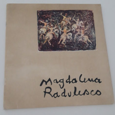 Album de arta Pictura Magdalena Radulescu