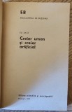 Creier uman si creier artificial