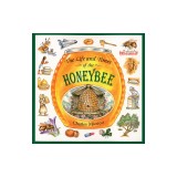 The Life and Times of the Honeybee