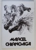 MARCEL CHIRNOAGA,2000