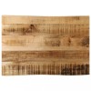 VidaXL Blat de masă contur organic 60x40x2,5 cm lemn masiv mango brut 370656