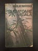 SARBATOARE LEGALA - Nicolae Mateescu