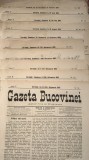 GAZETA BUCOVINEI,CERNAUTI ANUL V 1894 - 1895/LOT ZECE NUMERE :101,44,56,61,62,72,76,78,79,80,81/ STAMPILE FISCALE IMPERIALE AUSTRO-UNGARE