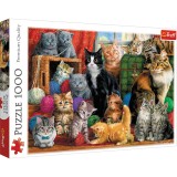 Puzzle 1000 piese - Intalnirea pisicilor / Feline Meetin | Trefl