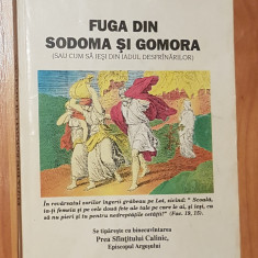 Fuga din Sodoma si Gomora de Protos. Nicodim Mandita