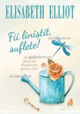 Fii linistit suflete! - Scriptum