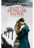 Secretul fetelor din pod - Marius Gabriel