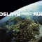 Audioslave Revelations (cd)