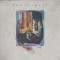 Disc vinil, LP. GRACE POOL: AWAKE WITH THE RAIN ETC.-GRACE POOL-218028