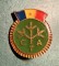 Insigna CTA varianta mare - 1
