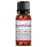 Ulei esential de scortisoara, 10ml, Steaua Divina