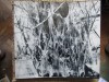 Dan Grigorescu - In Delta Dunarii (1967), Editie Cartonata, Cu Dedicatie si Autograf Ion Banuta. Carte Geografie