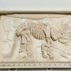 Dinozaur Triceratops.Mulaj ceramic,lucrat manual si autentificat.