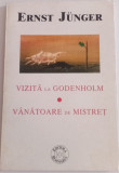 Ernest Junger -, Vizita la Godenholm