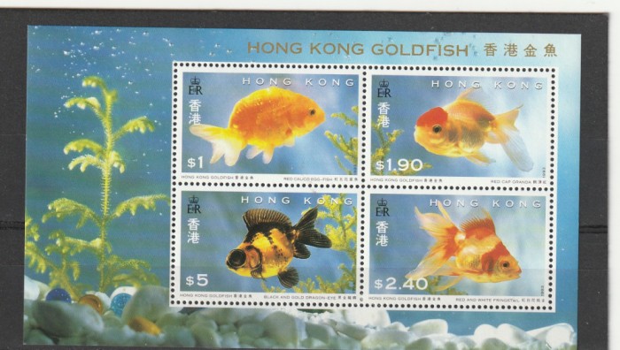 Fauna,pesti exotici,Hong Kong.