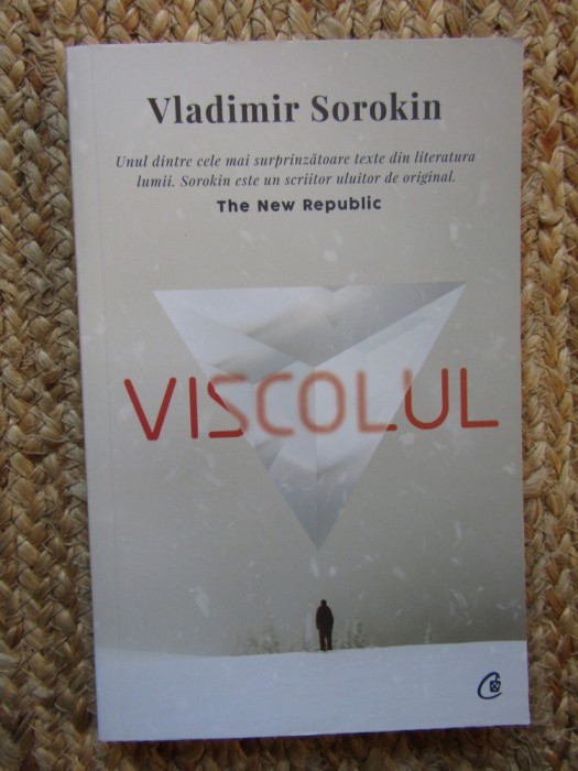 Vladimir Sorokin - Viscolul