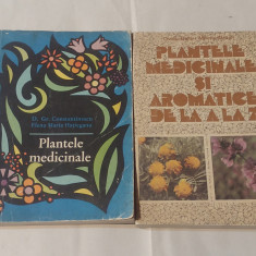 GR.CONSTANTINESCU-PLANTELE MEDICINALE + O.BOJOR-PLANTELE MEDICINALE SI AROMATICE