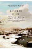 Un pod peste copilarie - Alexandru Jurcan