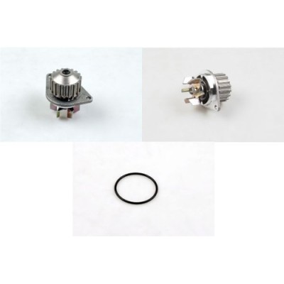 Pompa apa Hepu P846 foto