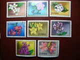 POLONIA SERIE FLORA