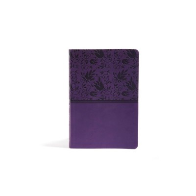 Rainbow Study Bible-NIV foto