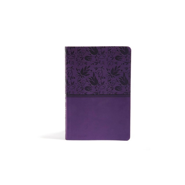 Rainbow Study Bible-NIV