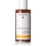 Dr. Hauschka Facial Care baie cu aburi pentru fata pentru curatarea profunda 100 ml
