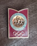 QW9 - N7 6 - Insigna sport - JO Moscova 1980 - handbal, Europa