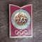 QW9 N7 6 - Insigna sport - JO Moscova 1980 - handbal