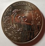 Moneda 1 liră Cipru 1986 UNC
