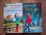 O frantura de alb, Misterul din Regat Jaclyn Moriarty Roman Editura Corint 2016 Format 20x13 cm