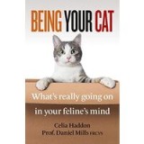 Being Your Cat Inside Your Feline&#039;s Mind