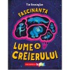 Fascinanta lume a creierului, Tim Kennington, Niculescu