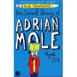 The Secret Diary of Adrian Mole Aged 13 3/4: Adrian Mole Book 1